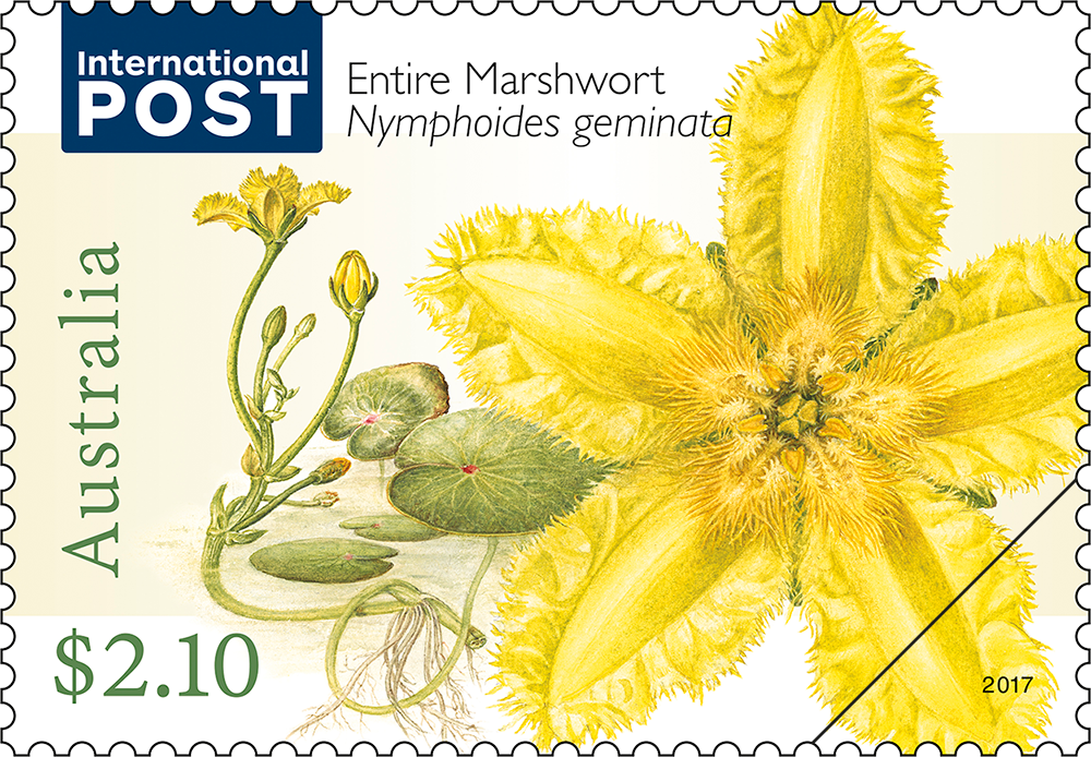 Water Plants $2.10 Entire Marshwort stamp $2.10 Entire Marshwort (Nymphoides geminata) stamp