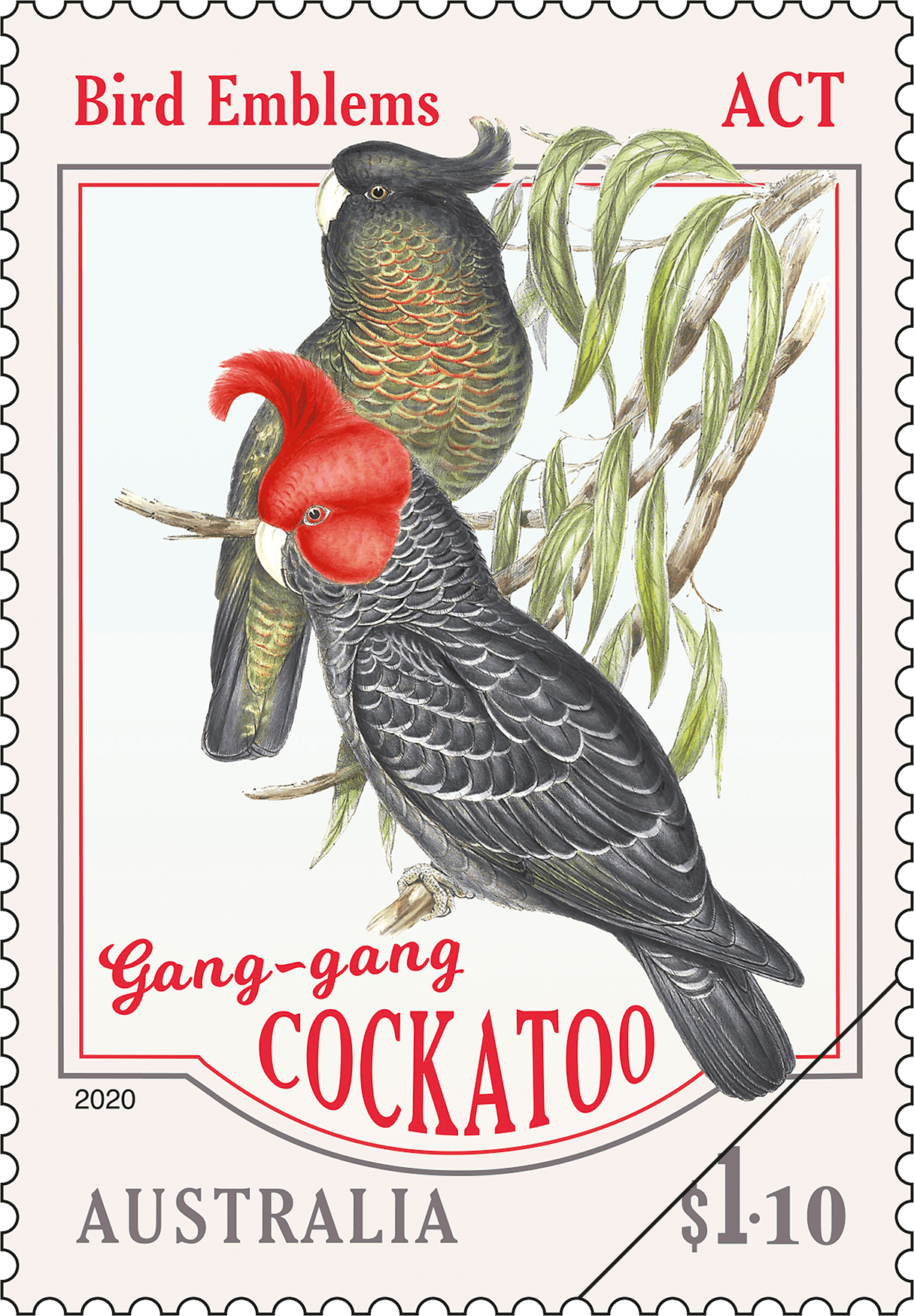 $1.10 - Gang-gang Cockatoo