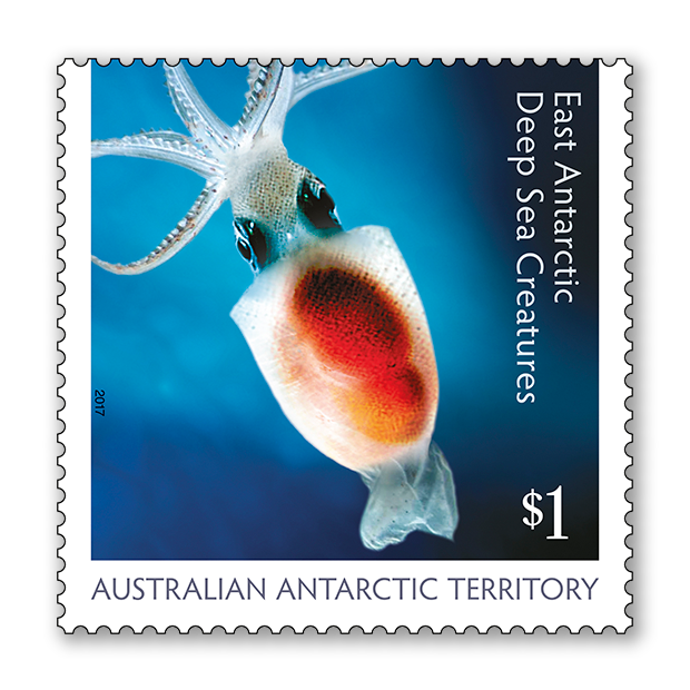 AAT: East Antarctic Deep Sea Creatures