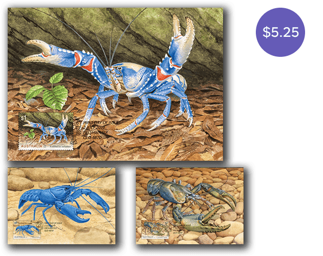 Set of Freshwater Crayfish maxicards
