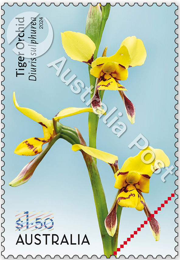 2024_Cobb_Co_stamp_02_400_WM