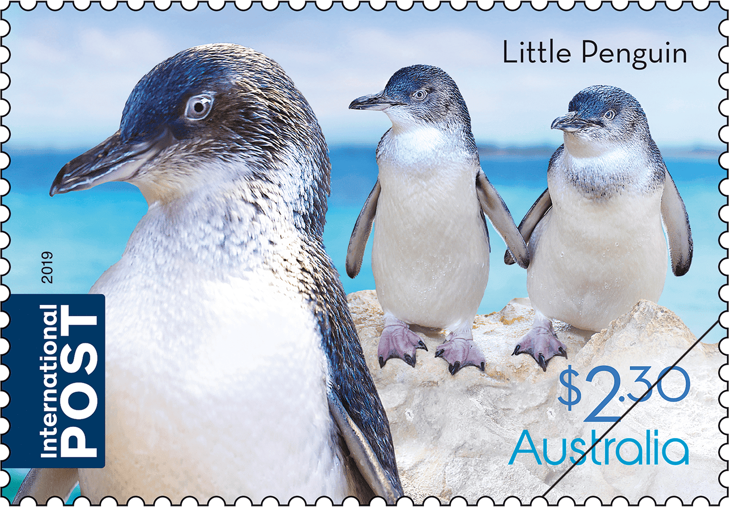 Flightless Birds Little Penguin stamp $2.30 - Little Penguin (Eudyptula minor)