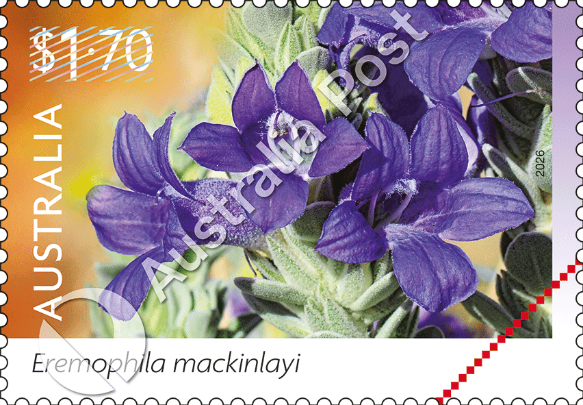$1.70 Eremophila mackinlayi stamp