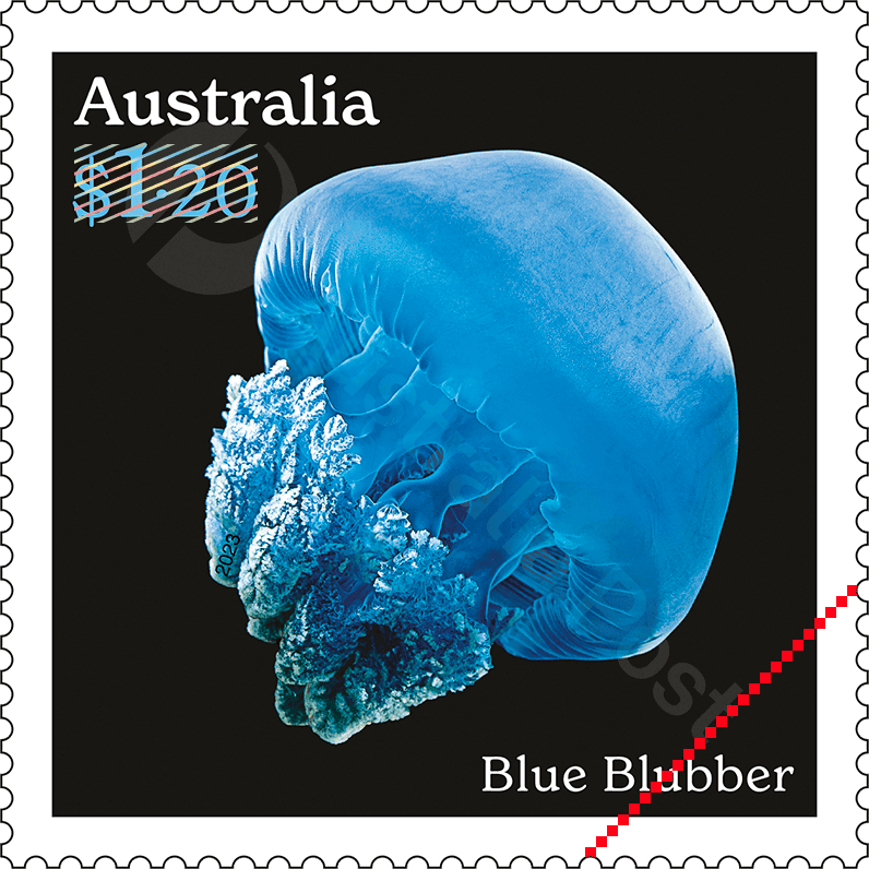 2023_Jellyfish_Stamps_04_400