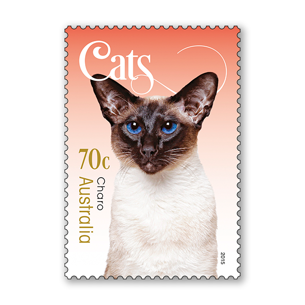 Cats
