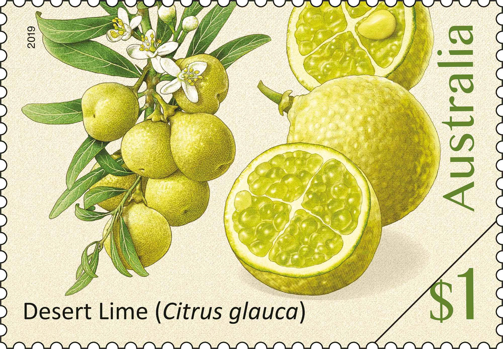 Bush Citrus