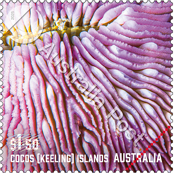 2024_Cobb_Co_stamp_02_400_WM
