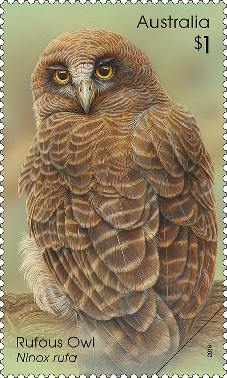 Owls