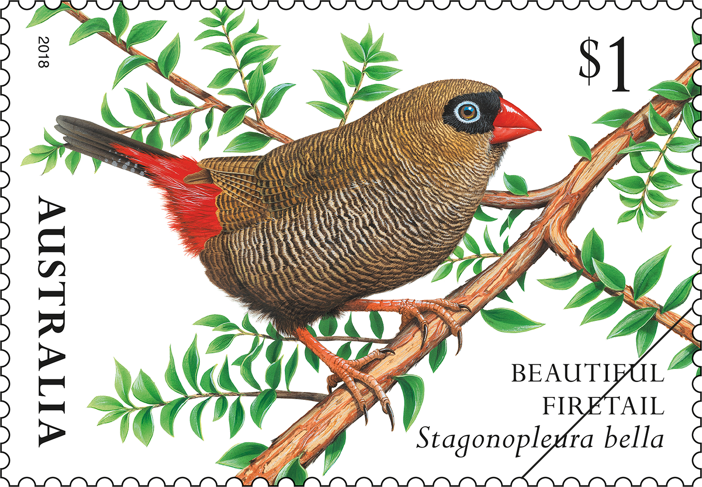 Finches of Australia II Beautiful Firetail stamp $1 Beautiful Firetail (Stagonopleura bella)
