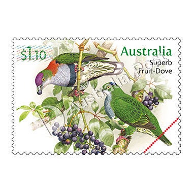 $1.10 Superb Fruit-Dove