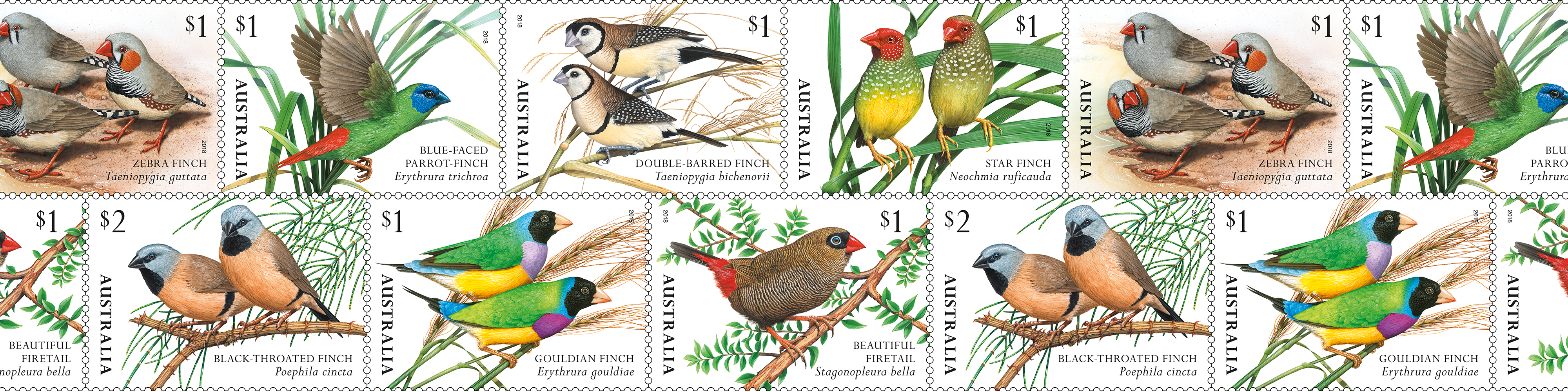 Australian bird stamps: past and present