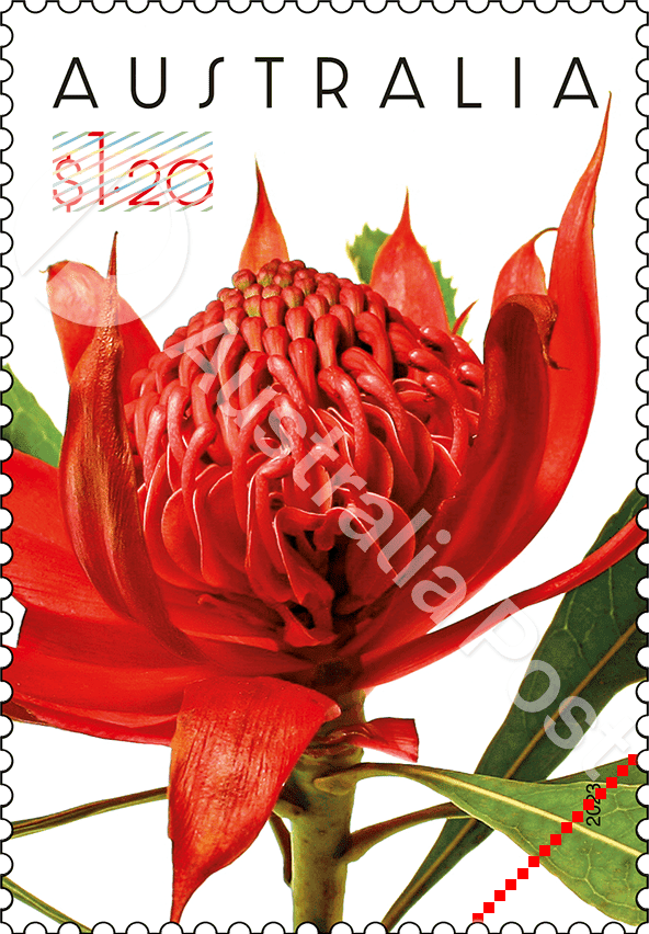 $1.20 Waratah