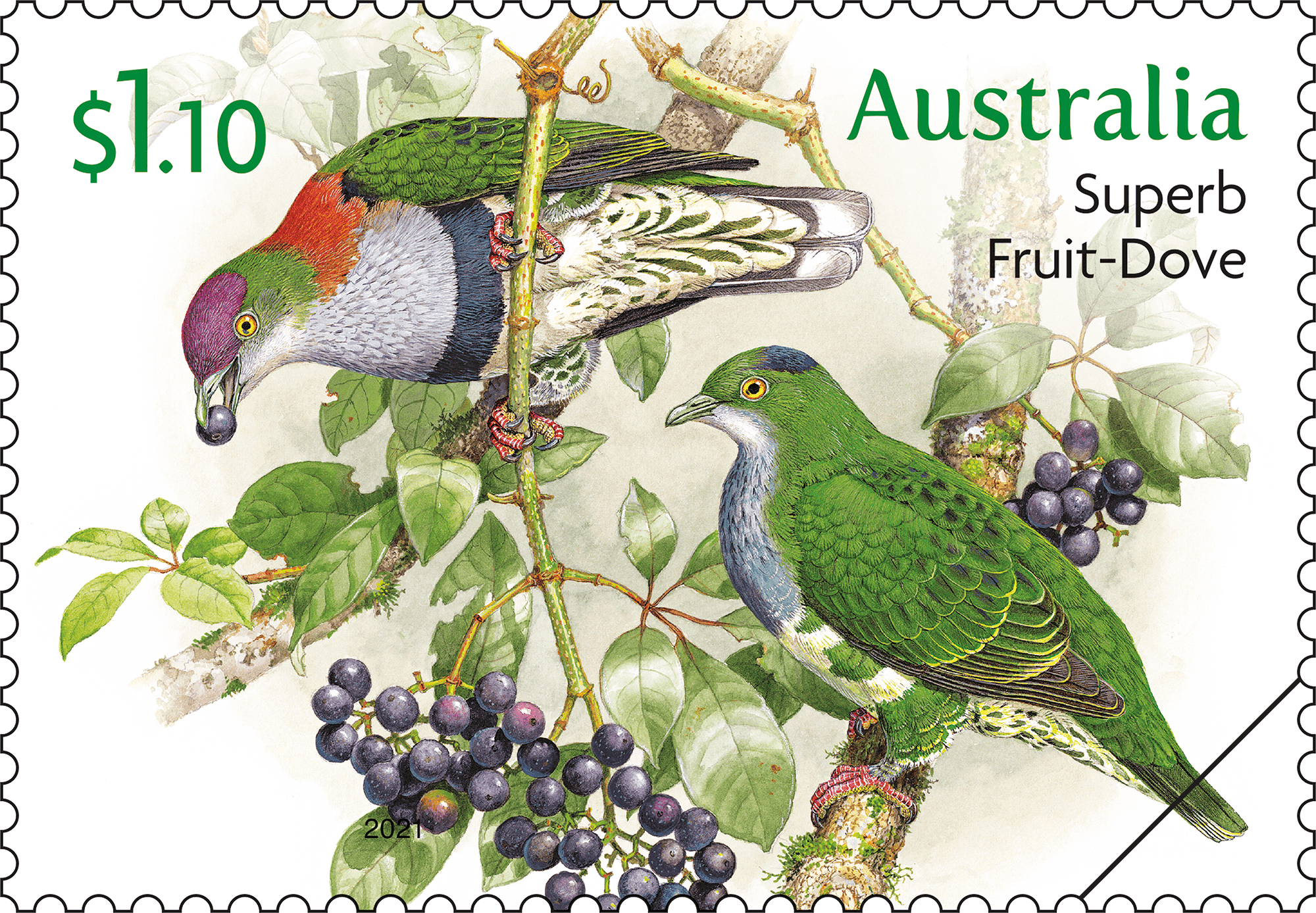 Doves_Pigeons_Stamp_01_400 Doves and Pigeons