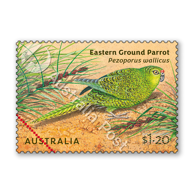 Australian Fauna II