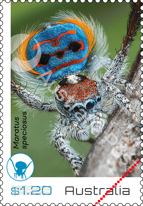 2023_Peacock_stamp_03_400 $1.20 Maratus speciosus