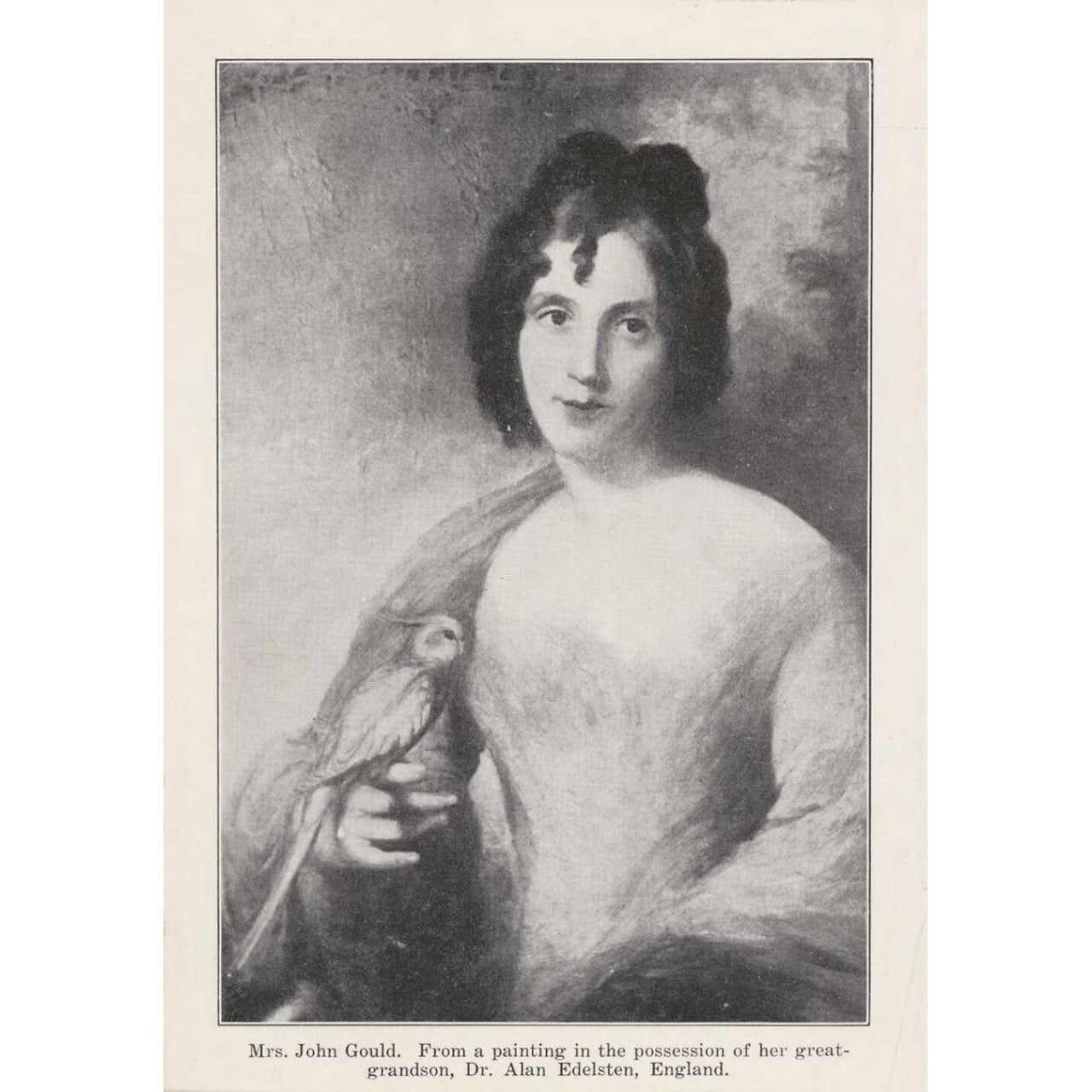 Portrait of Elizabeth Gould, National Library of Australia, nla.obj-150672913 Portrait of Elizabeth Gould