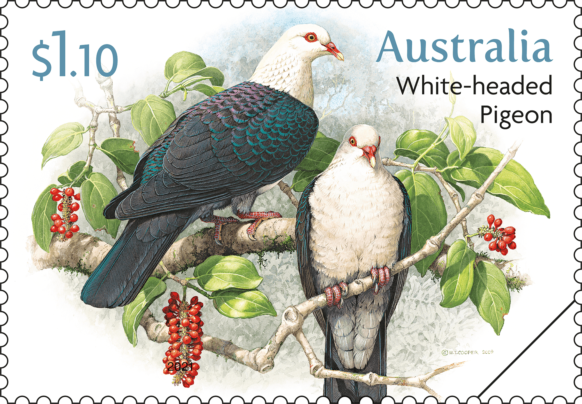 Doves_Pigeons_Stamp_01_400 $1.10 White-Headed Pigeon