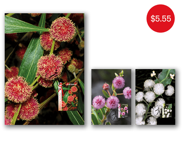 Set of Wattle Wonders Maxicards