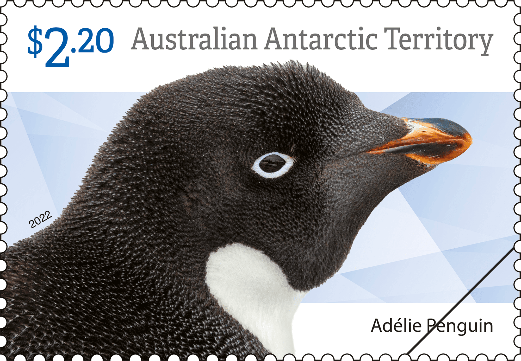 AAT_Penguins_1_400 $2.20 Adélie Penguin