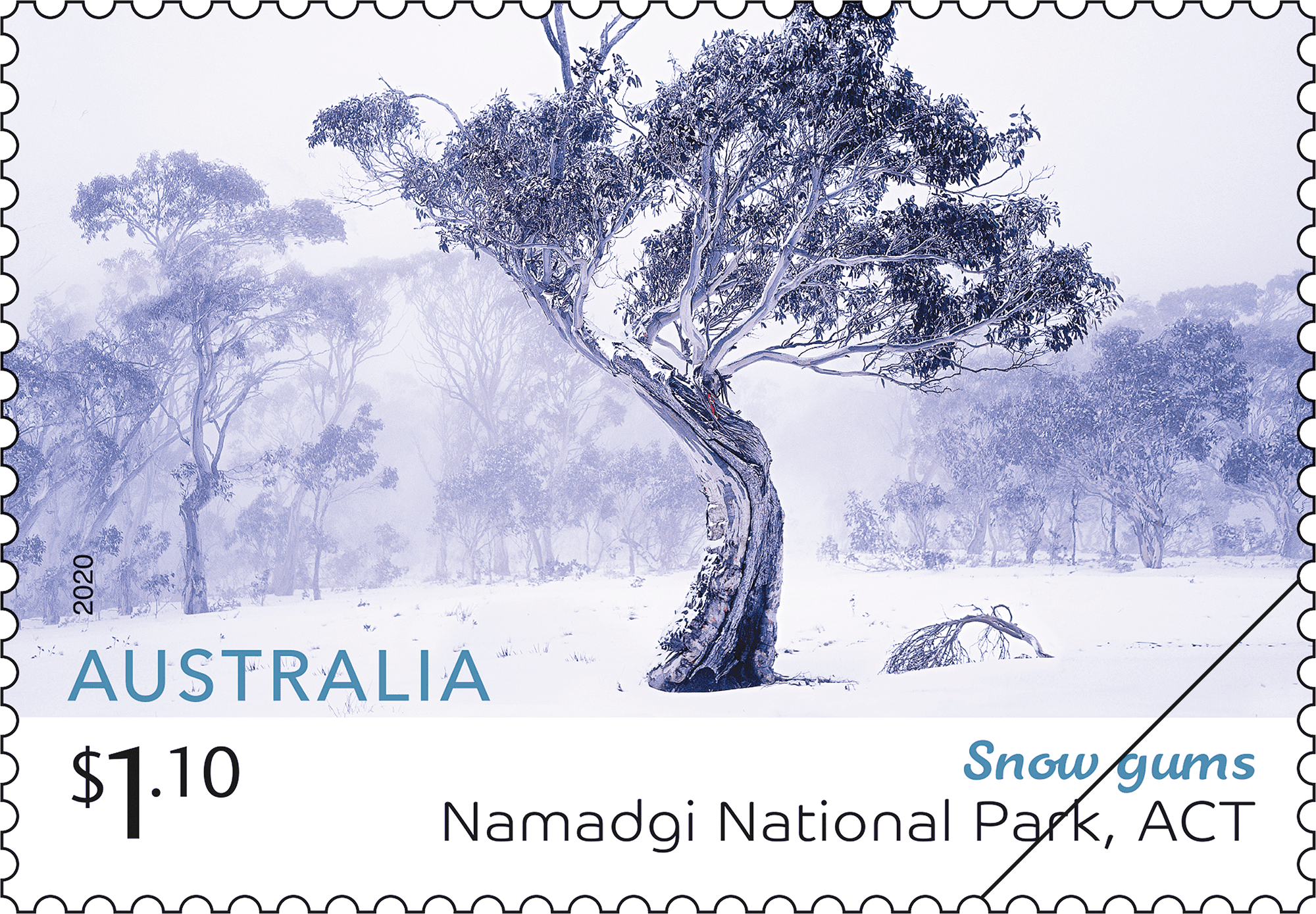 $1.10 - Snow gums, Namadgi National Park, ACT