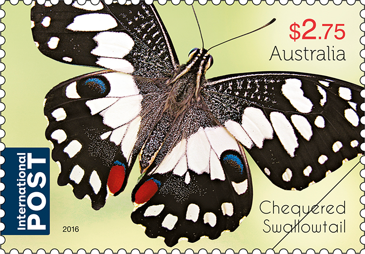 $2.75 Chequered Swallowtail (Papilio demoleus)