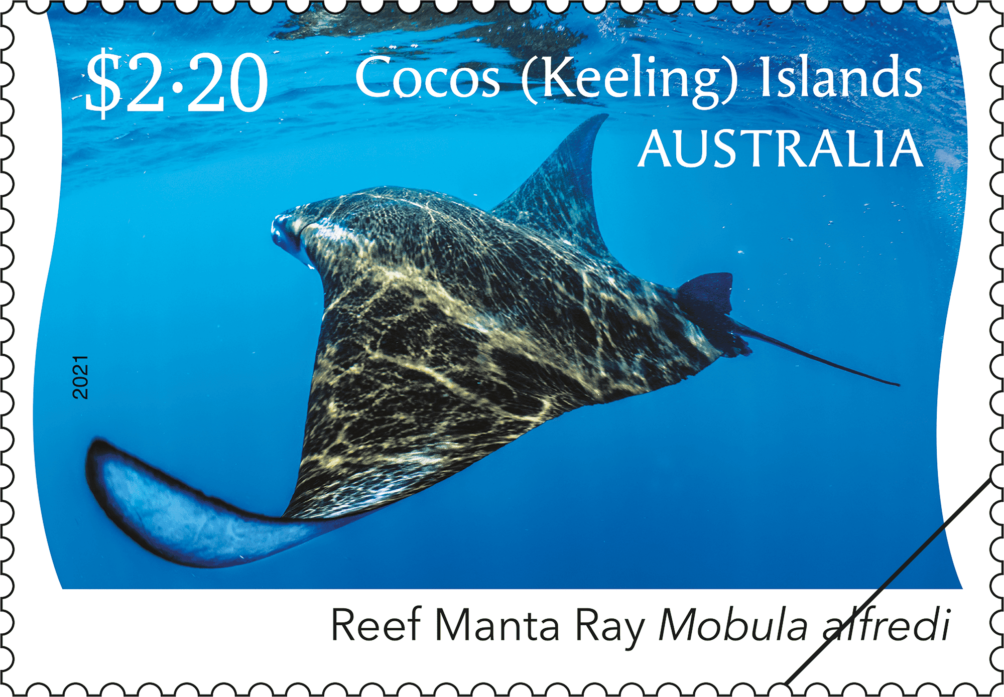 CKI Manta Ray stamp_01_400 $2.20 Reef Manta Ray – dark dorsal view