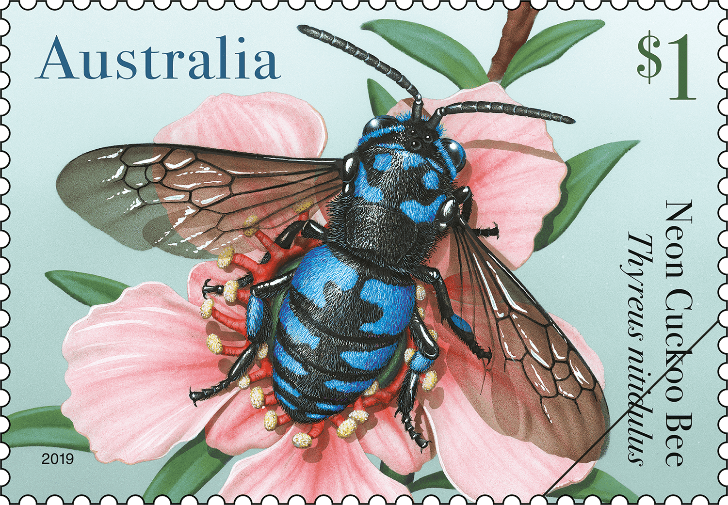 $1 - Neon Cuckoo Bee (Thyreus nitidulus)