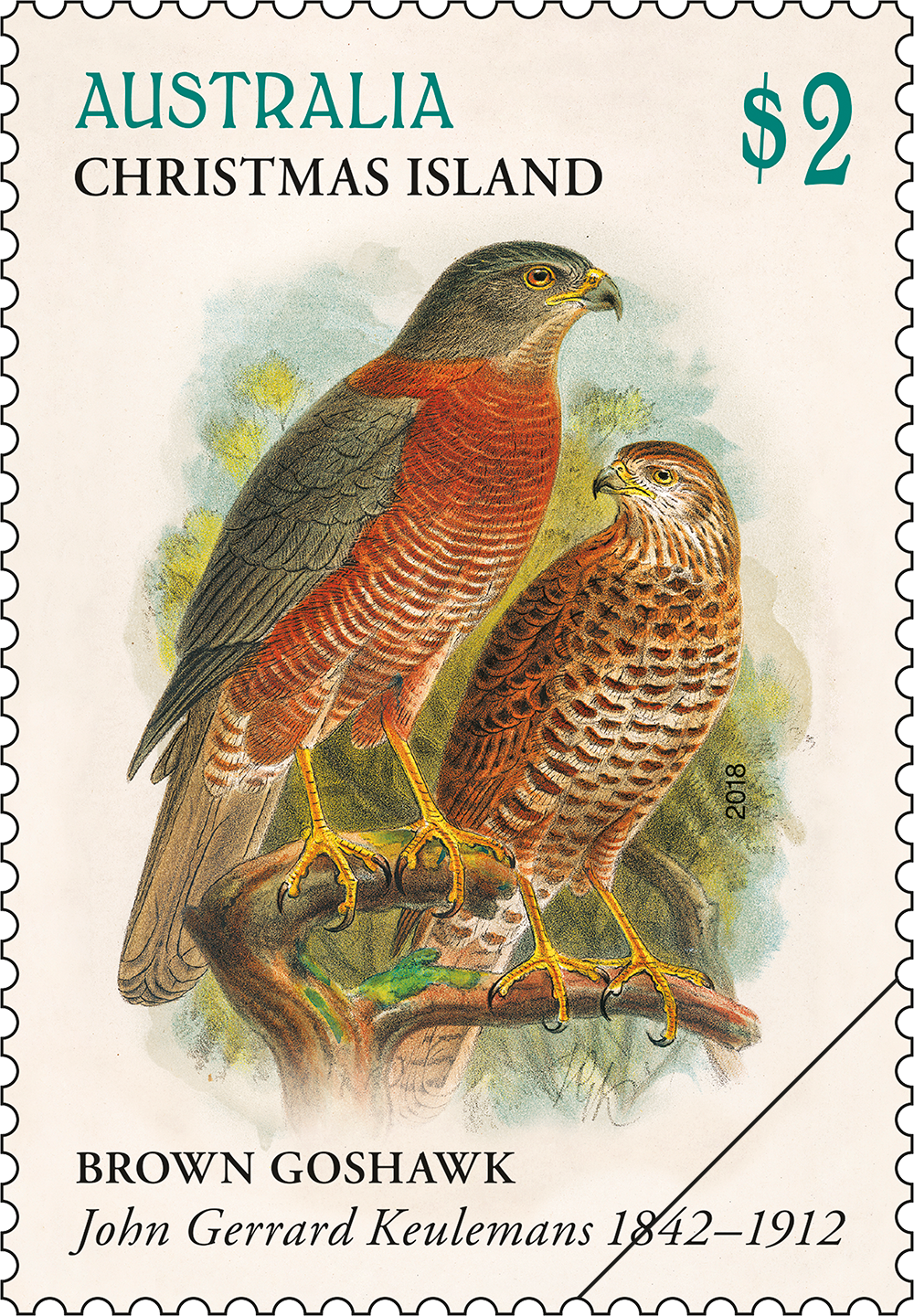 The Art of John Gerrard Keulemans Brown Goshawk stamp