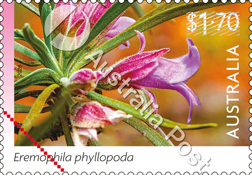 $1.70 Eremophila phyllopoda stamp
