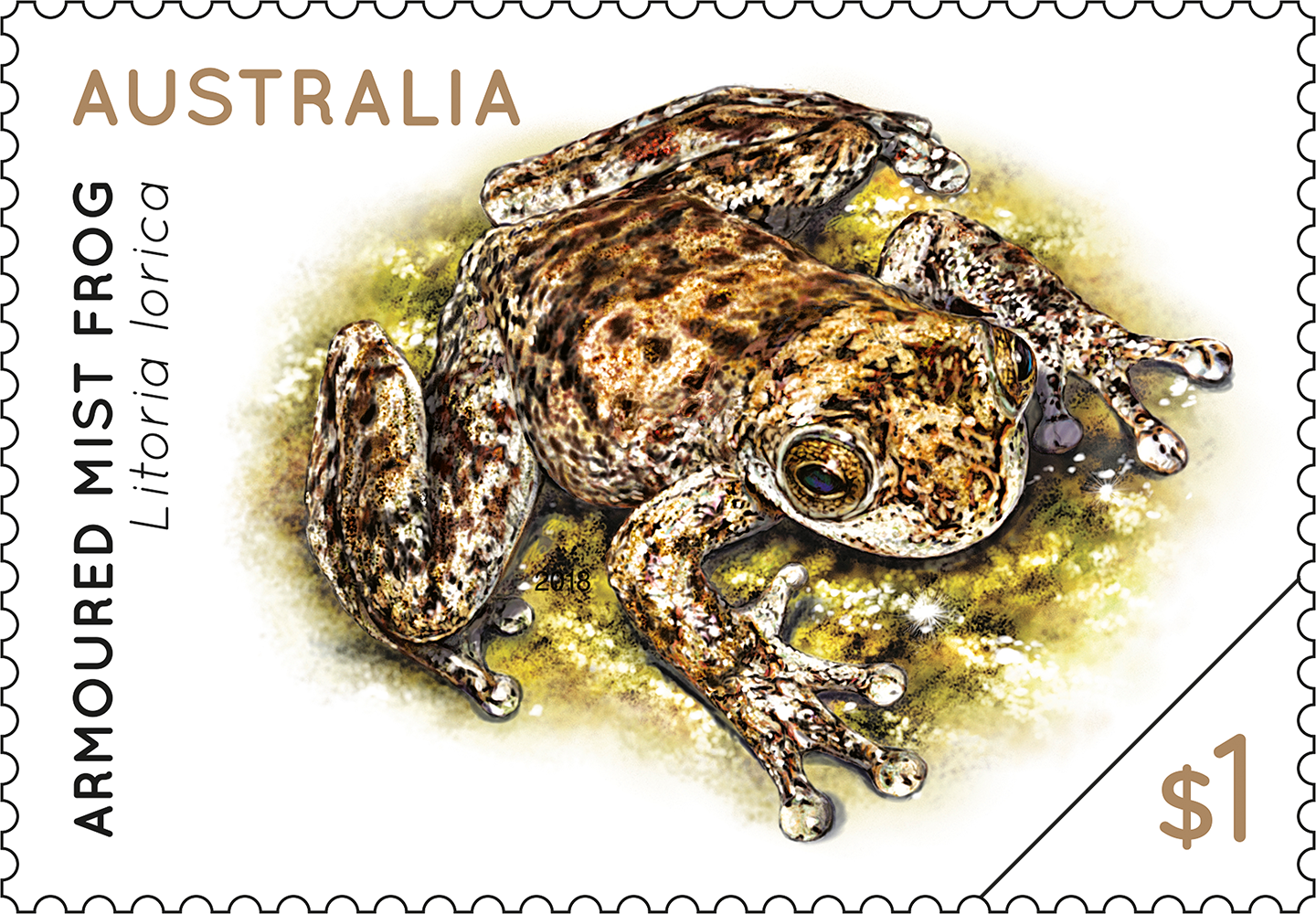 Armoured Mist Frog stamp $1 Armoured Mist Frog, Litoria lorica