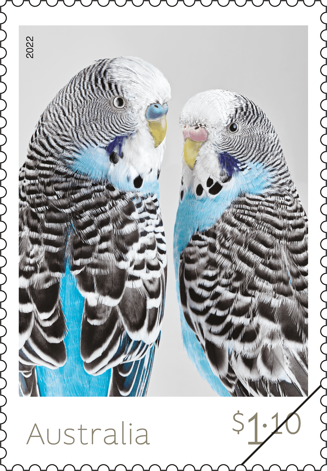 Budgies_Stamp_01_400 $1.10 Bluey and Liquorice