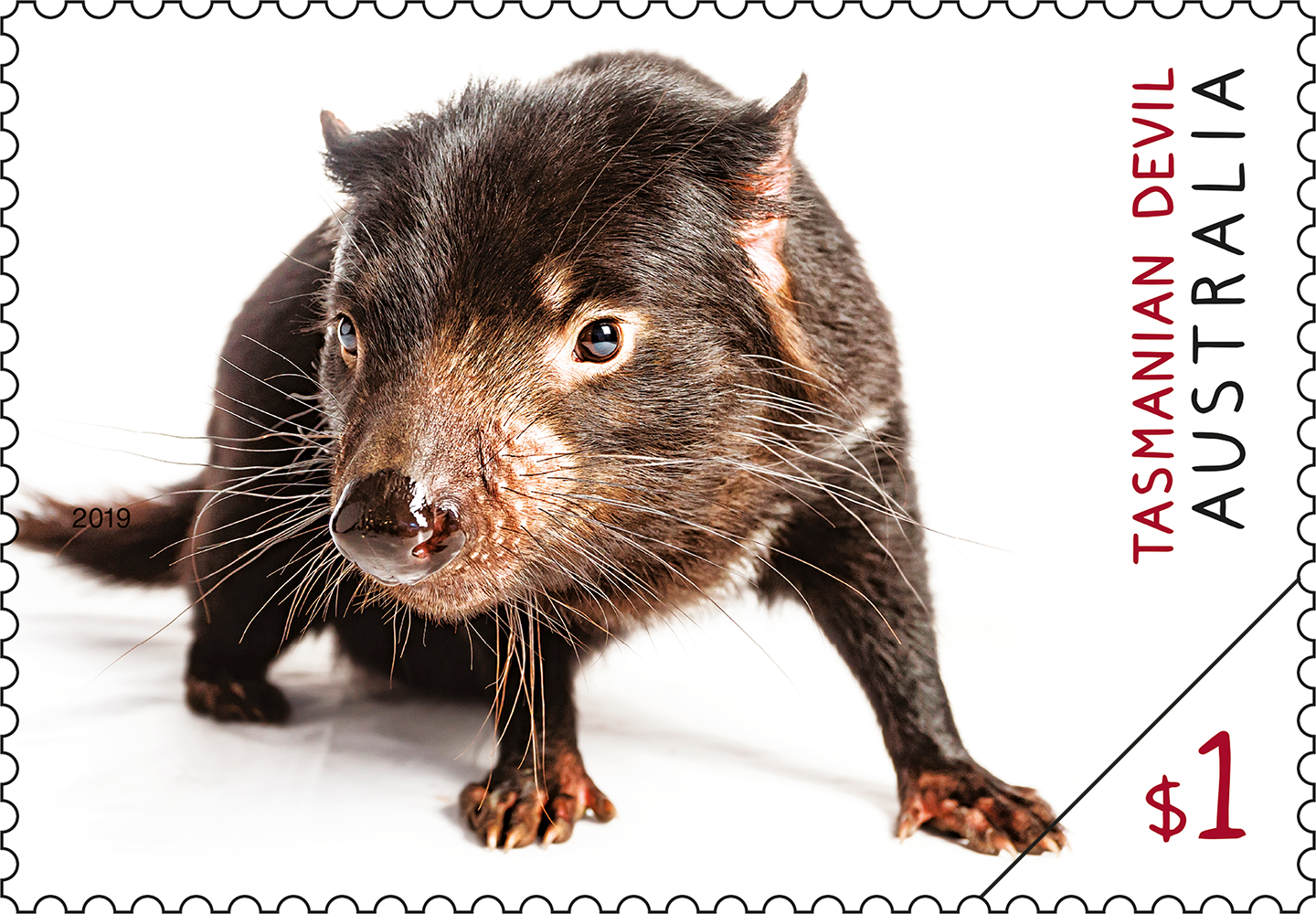 Australian Fauna Tasmanian Devil $1 Tasmanian Devil
