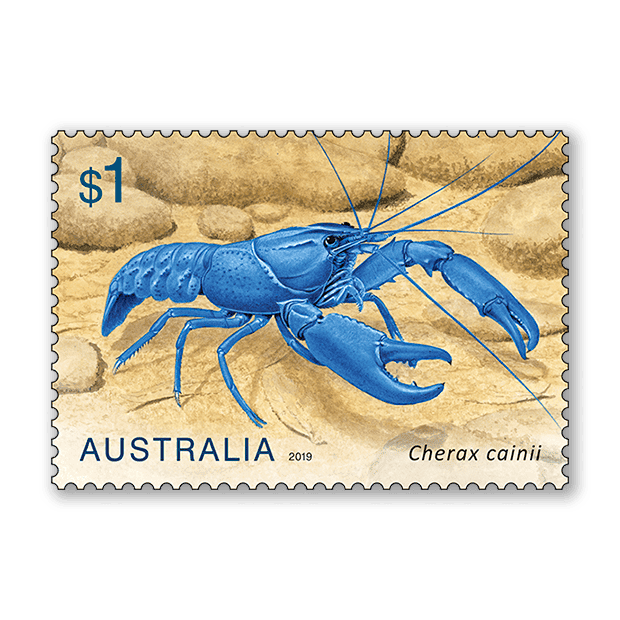 Freshwater Crayfish