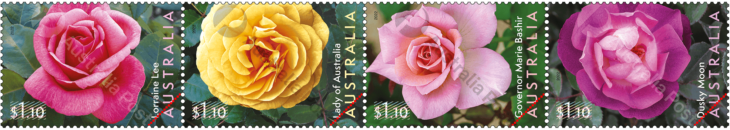 Roses