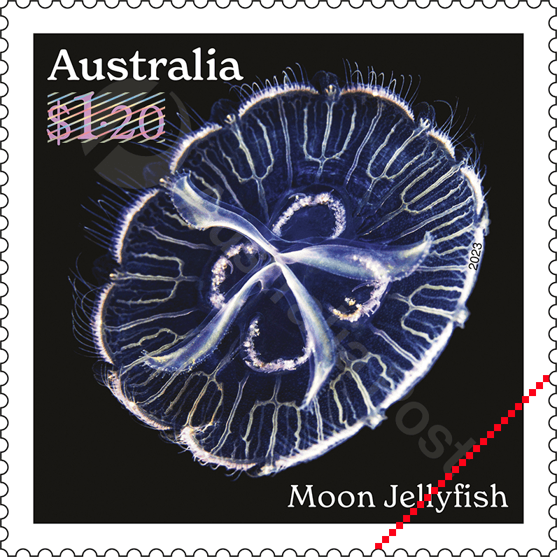 2023_Jellyfish_Stamps_04_400