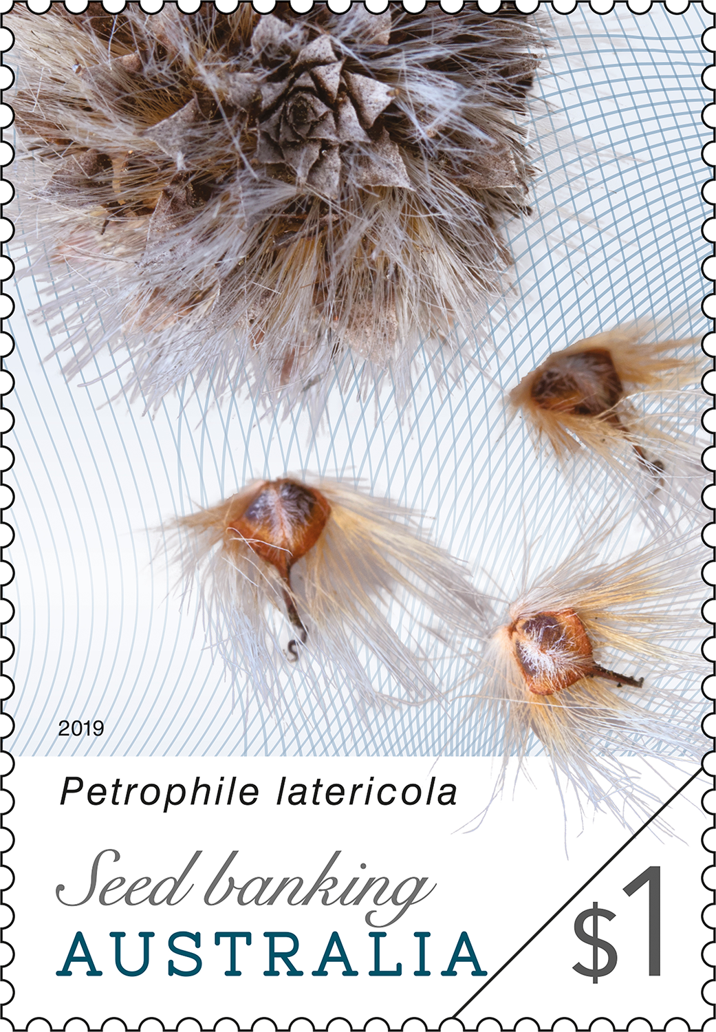 Seedbanking_Stamp_01_400 $1.10 The Tweets