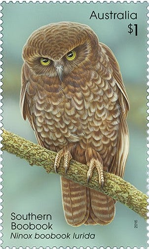 $1 Southern Boobook (Ninox boobook lurida)