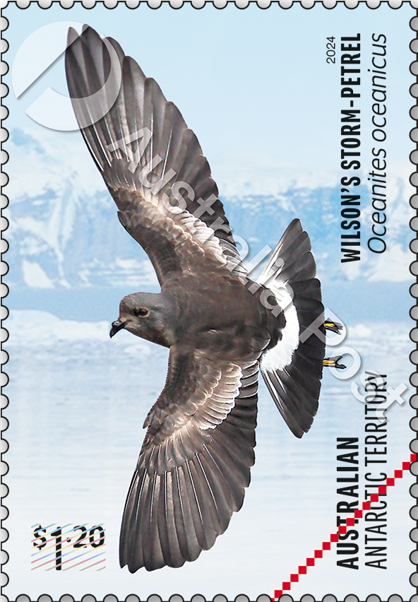 $1.20 Wilson’s Storm-Petrel, Oceanites oceanicus