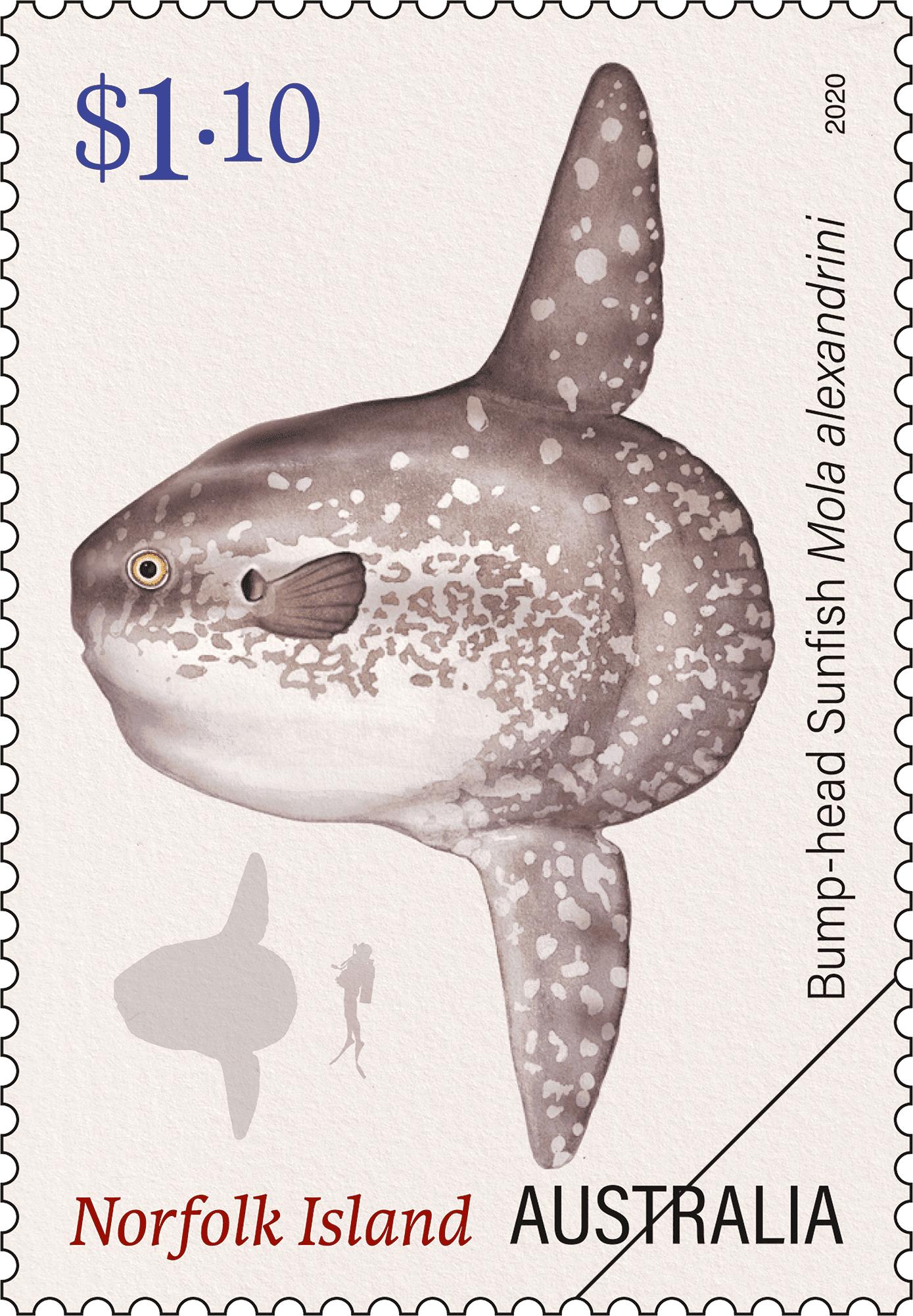 $1.10 - Bump-head Sunfish, Mola alexandrine