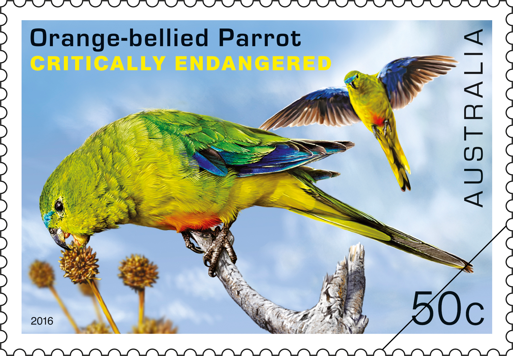 50c Orange-bellied Parrot (Neophema chrysogaster)