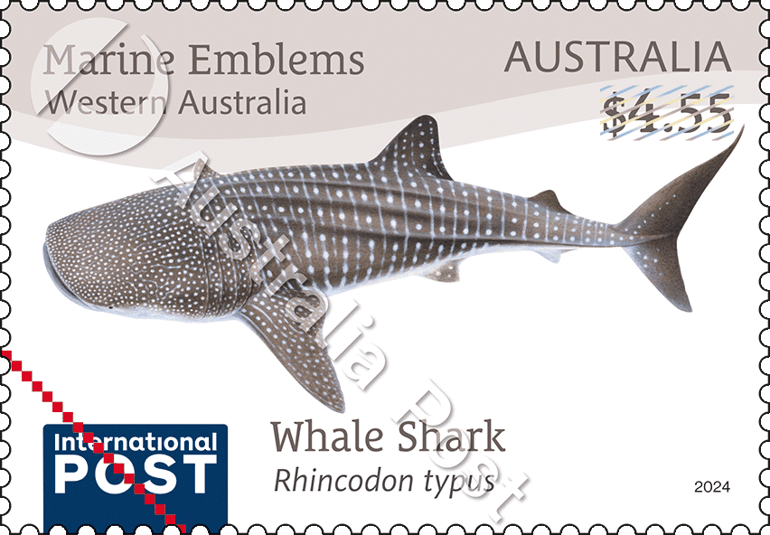 Northern Territory – Barramundi Lates calcarifer