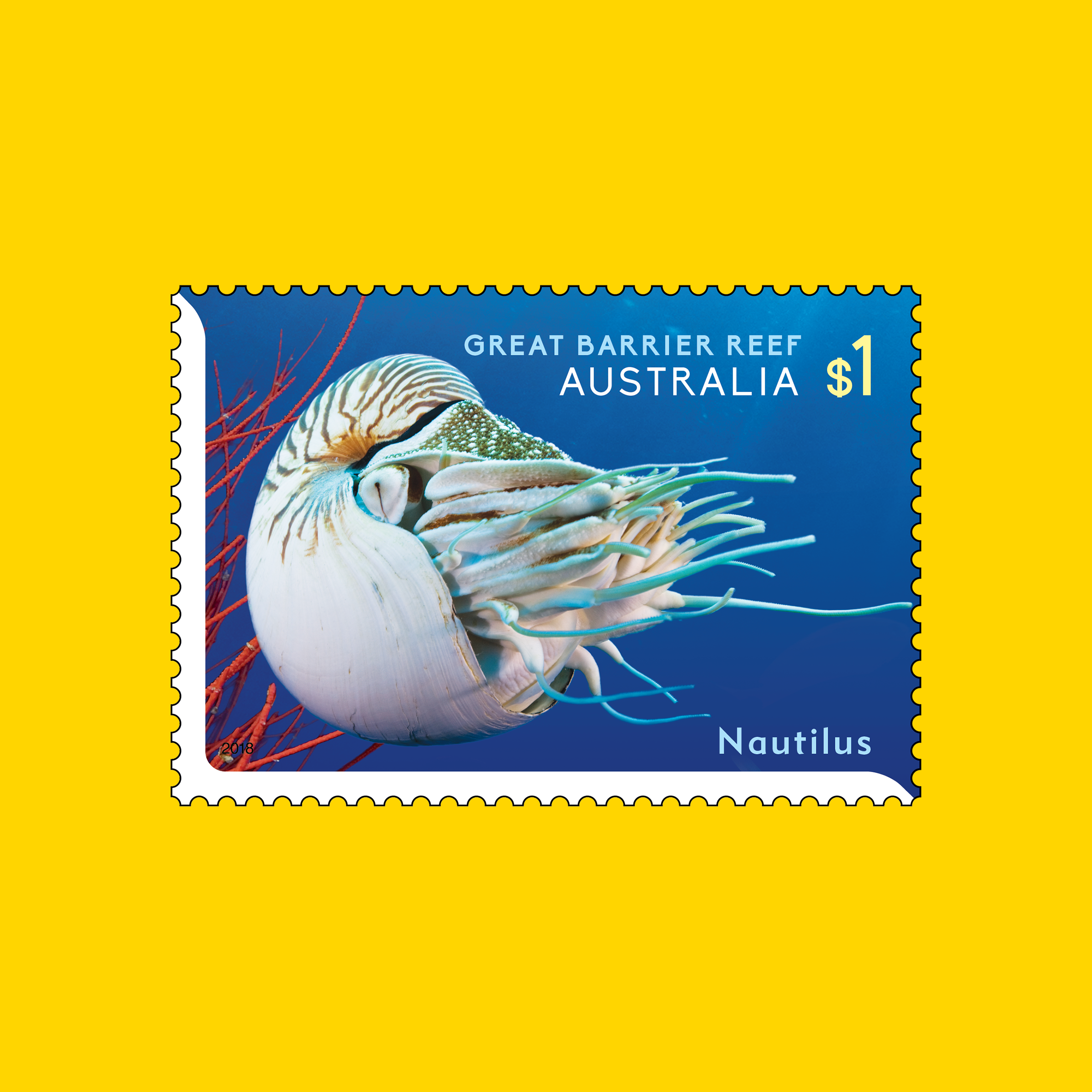 Nautilus