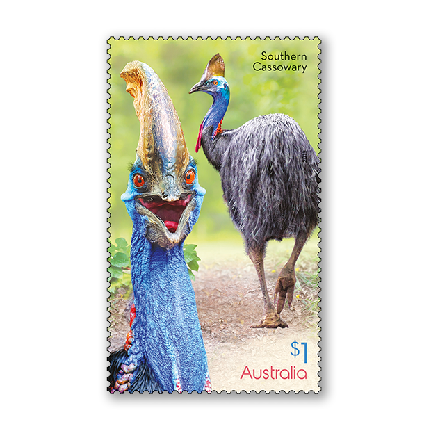 Flightless Birds