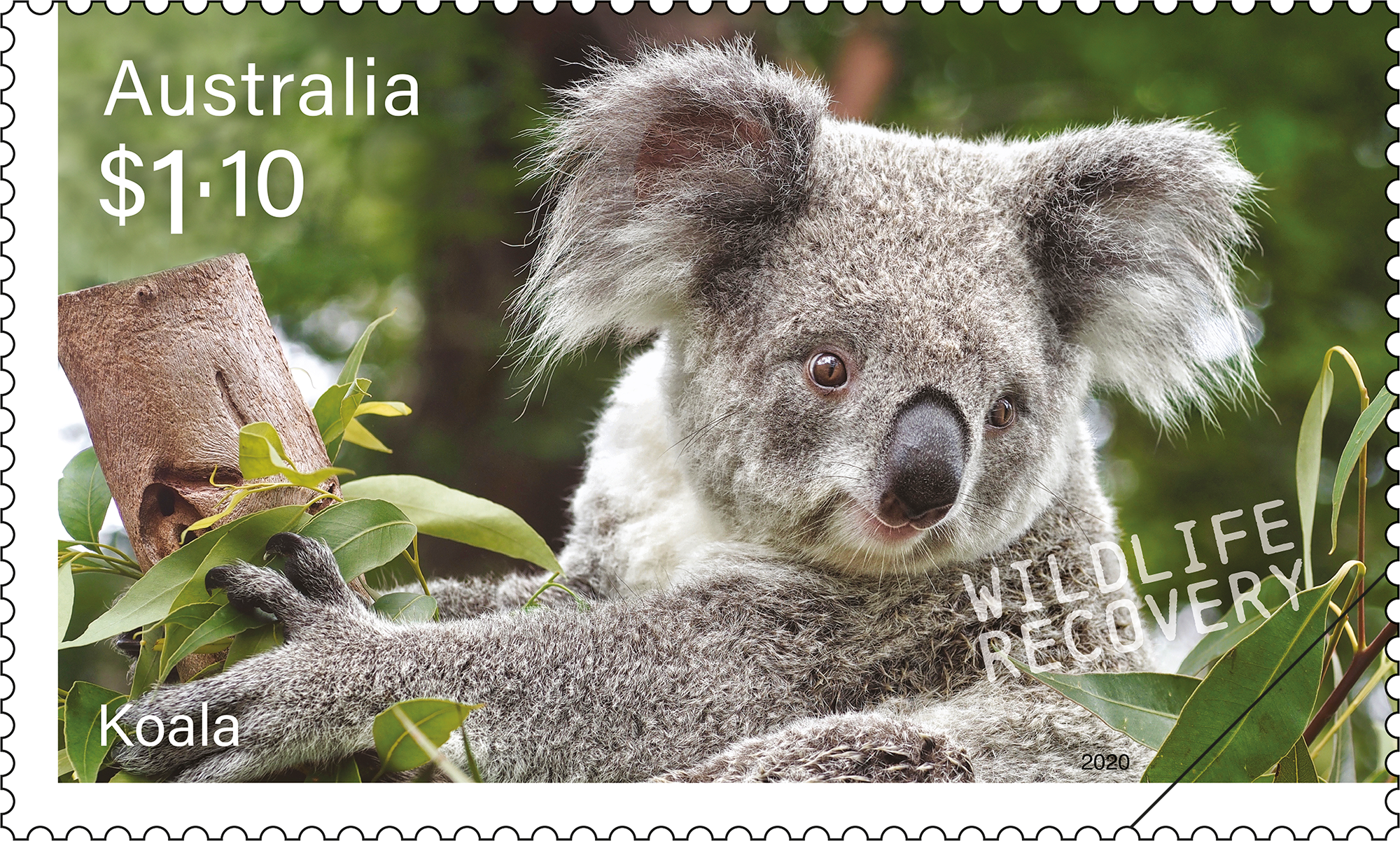 SCM_Wildlife_Recovery_Stamp_06_400 Wildlife Recovery