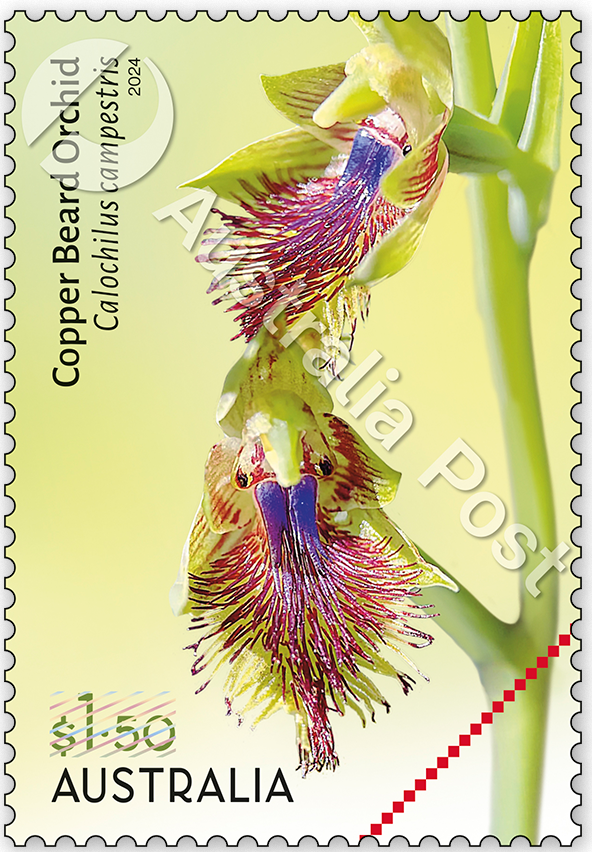 2024_Cobb_Co_stamp_02_400_WM