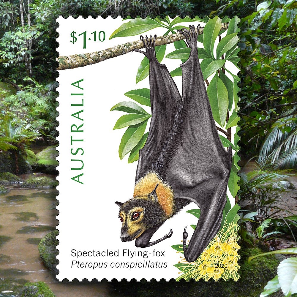 Tree-dwellers of the Tropics