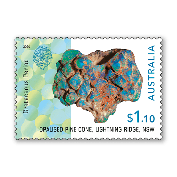 Opalised Fossils