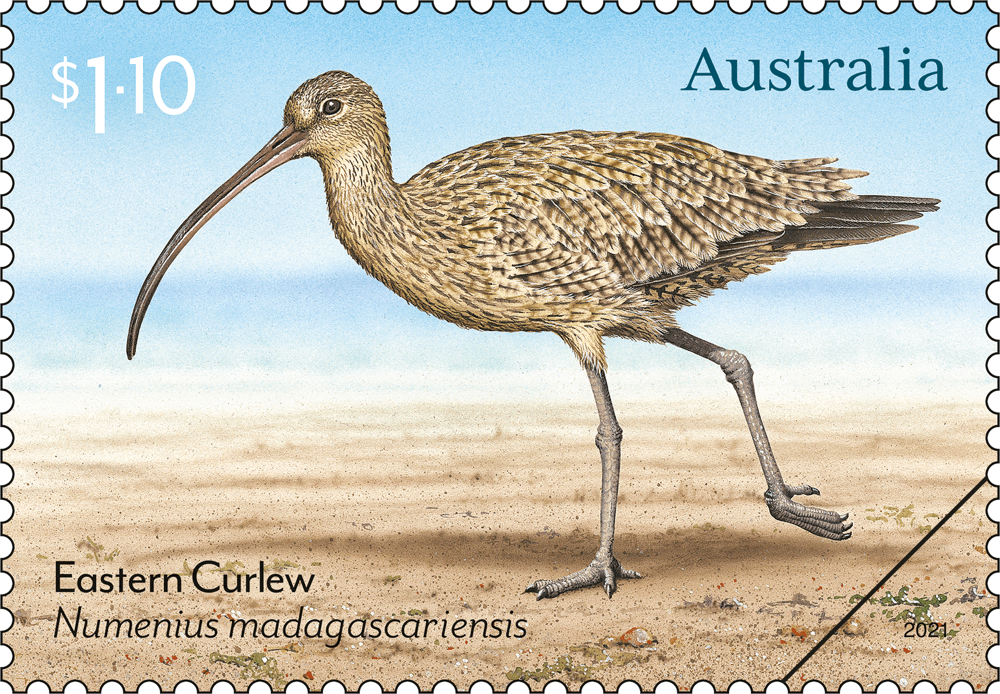 Eastern_Curlew_Stamp_400 Migratory Shorebirds