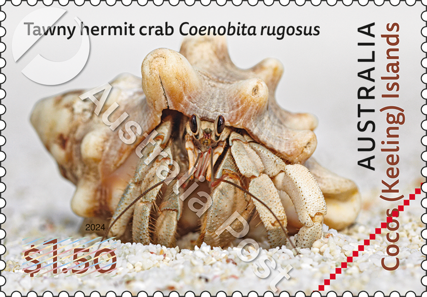 2024_CKI_Crabs_Stamp_03_400_WM
