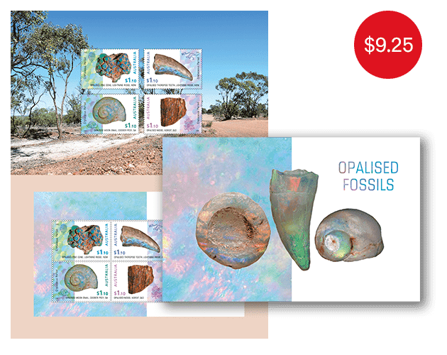Opalised Fossils stamp pack